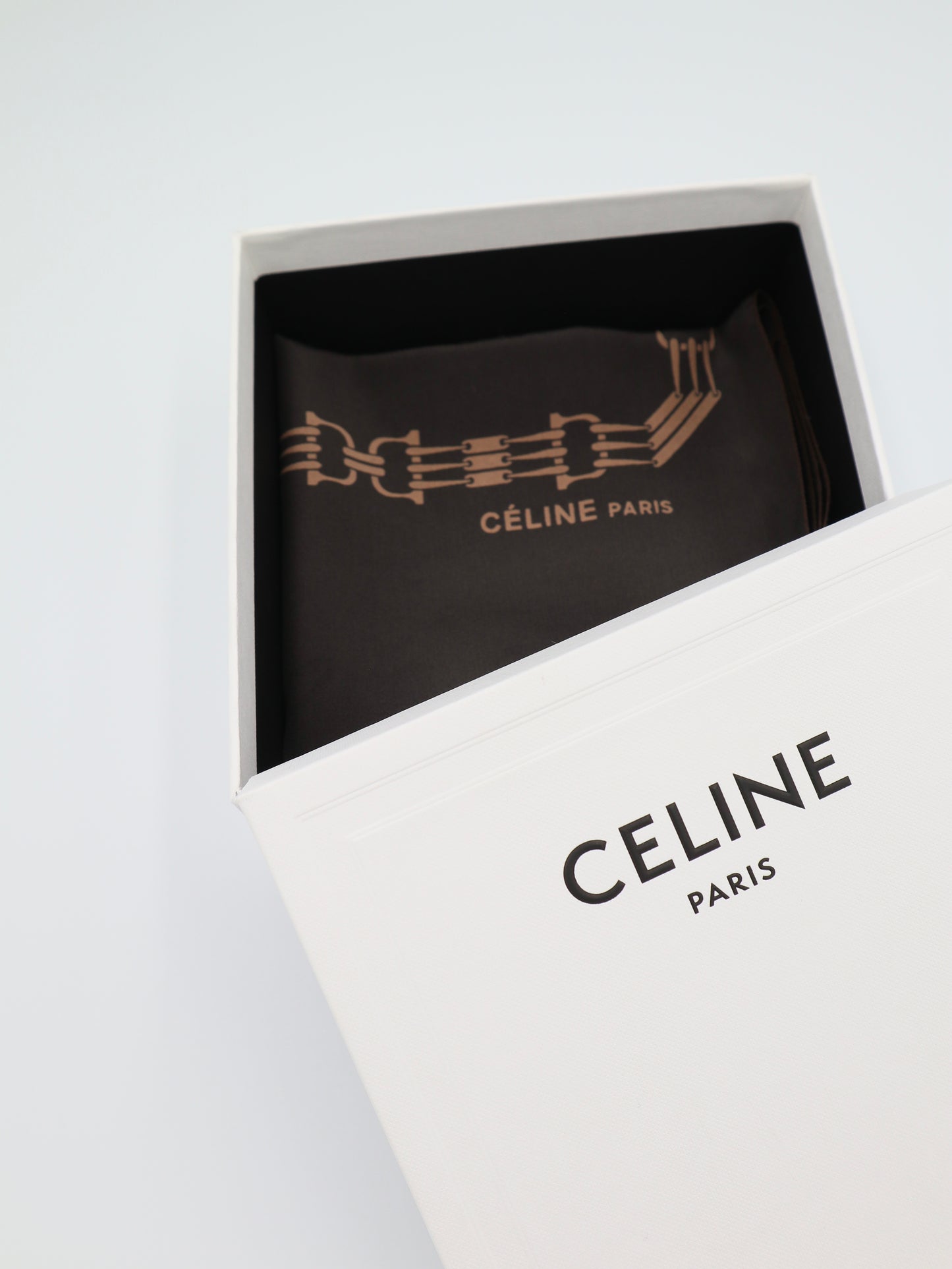 CELINE Silk Scarf